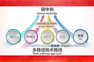 半岛电子竞技官网网址是多少截图1